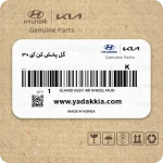 گل پخش کن i30