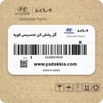 گل پخش کن جنسیس کوپه
