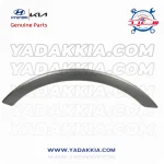فلاپ گلگیر جلو چپ آی ایگس 55 (1)