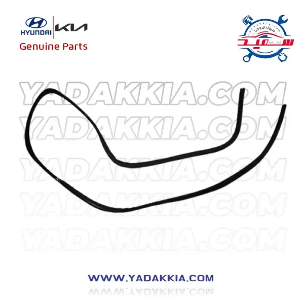 نوار دور شیشه وراکروز آی ایگس 55 (1)