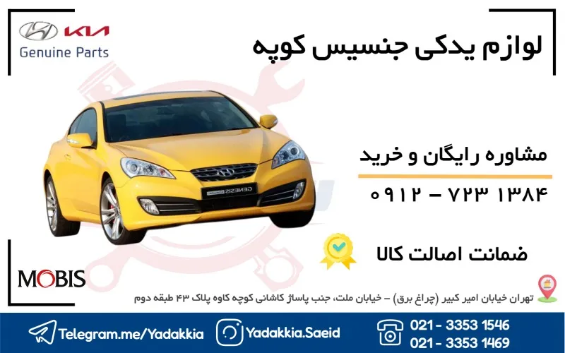 خرید لوازم یدکی جنسیس کوپه